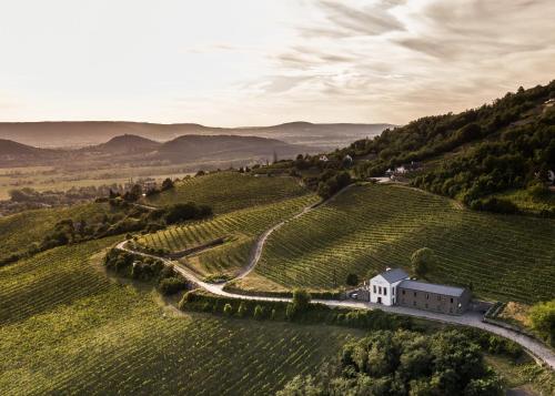  Pátzay Borvilla in Badacsonytomaj