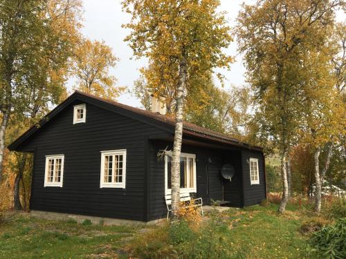 Svein's Cottage