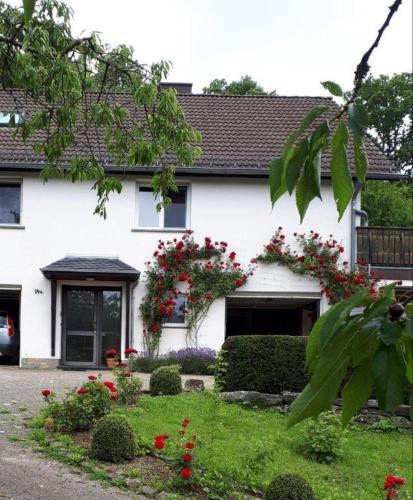 Ferienwohnung Haus Handwerk in Duppach, Deutschland