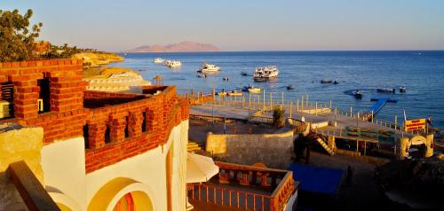Sharks Bay Umbi Diving Village in שארם א-שייח'