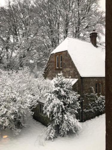 Beautiful converted Stable in peaceful Somerset, close to the Jurassic Coast in ايلمينستير