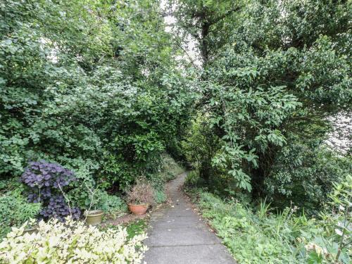 Tor Cottage - image 11