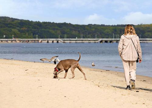 AQUA HOUSE - image 10