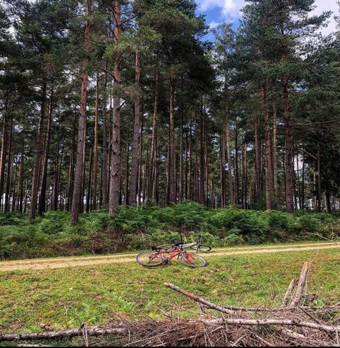Redbrook Farm BnB - Gateway to the New Forest