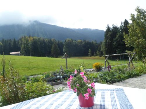 Dārzs, Berghof Voglerbrand in Andelsbuch