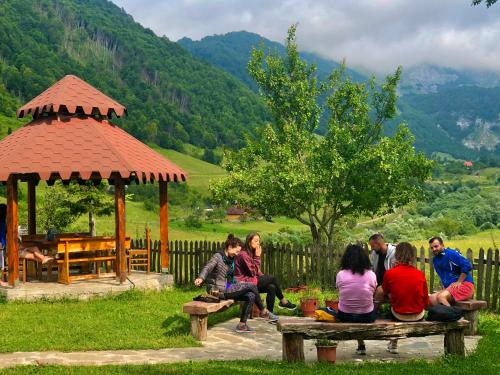 Guesthouse Alpini in Lëpushë