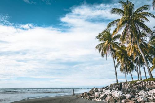 Beach, Samara Palm Lodge in Samara