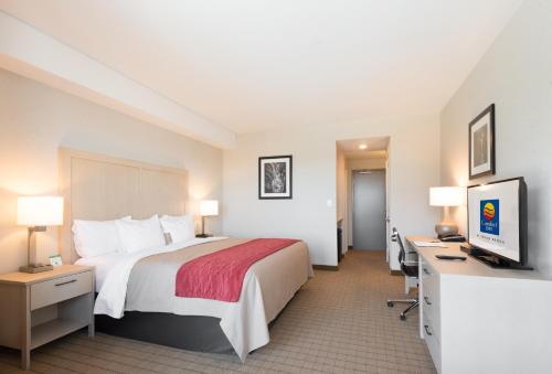1 king bed