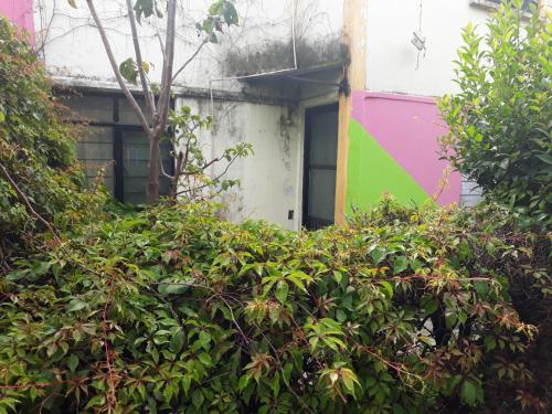 Casa entera sólo para ti. Sencilla y cómoda para familia, estudios o trabajo in Morelia, Mexico