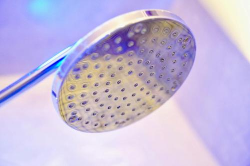 Hotel Aurora - image 5