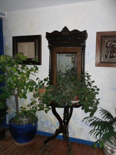 Pension Giulia - image 13