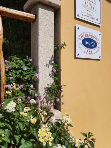AL PEZ exclusive rooms