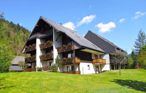 C2 Albmatte-FEWO , Hallenbad Außenbecken Massagen nebenan - Apartment - St. Blasien