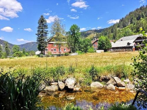 C2 Albmatte-FEWO , Hallenbad Außenbecken Massagen nebenan