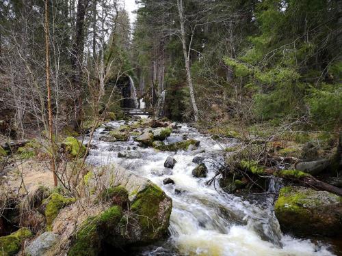 C2 Albmatte-FEWO , Hallenbad Außenbecken Massagen nebenan