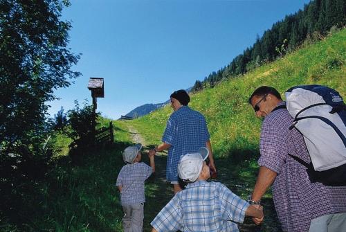 T3 Alpenhotel Garfrescha - image 12