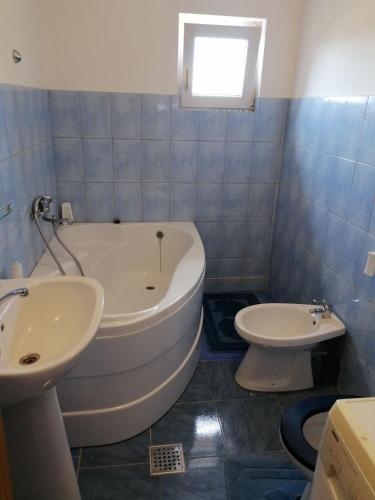 Sagului Shopping City Apartment