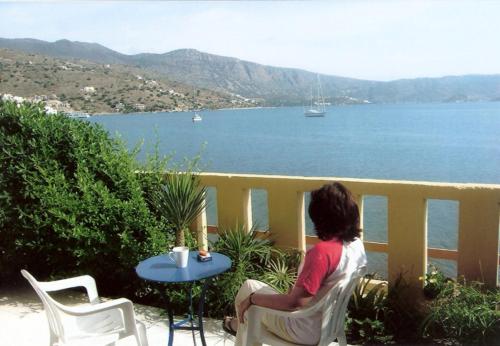 Dolphins, Elounda (zdjęcie 9)