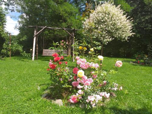 Zajazd Joniec Małgorzata Zajazd Joniec Małgorzata