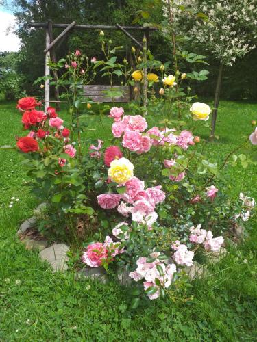 Zajazd Joniec Małgorzata Zajazd Joniec Małgorzata