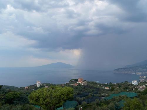 Hotel Il Nido Sorrento - image 5