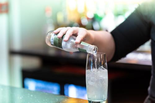 Green Hotel - image 10