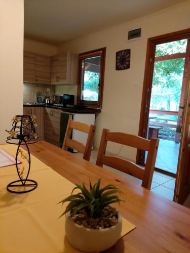 Konyha, Dream Horse Apartman Cserkeszolo in Cserkeszőlő