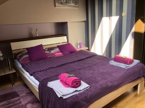 Apartamenty Maria - Apartment - Żywiec