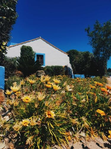 Quinta do Sardanito de Tras - image 5