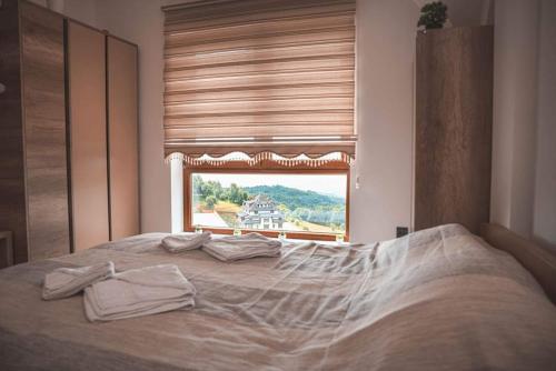 Yupendi P63 Milmari Resort Kopaonik - main image