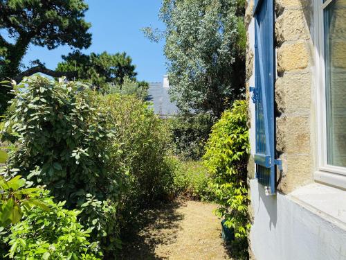 Druides 2 - image 2