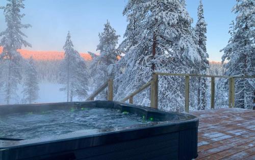 อ่างแช่น้ำร้อน, Arctic Skylight Lodge in มิวนิโอ