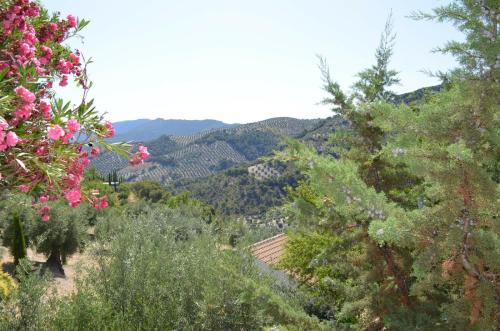 A környék, EL CONVENTO Vivienda Rural Jaén Andalucía España (EL CONVENTO Vivienda Rural Jaen Andalucia Espana) in Carchel