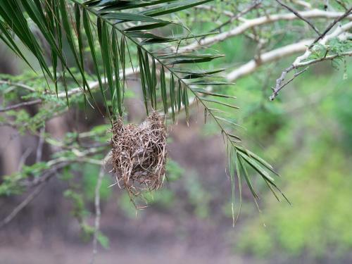 Zululand Lodge Zululand Lodge