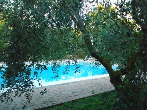  Tenuta Santa Maria, Pension in Campagnatico bei Batignano