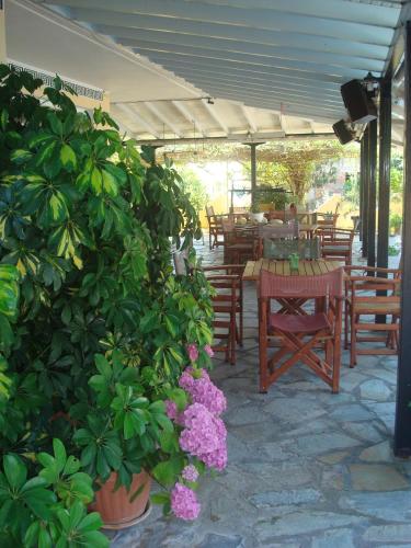 Polyxenis Rooms Polyxenis Rooms