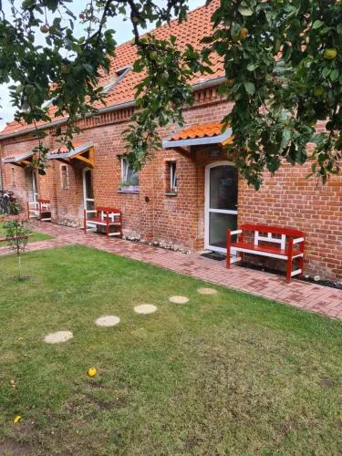 glücksklee in Wustrow, Deutschland