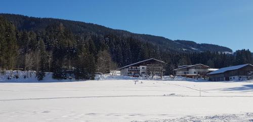 Boutique Hotel Alpenhof