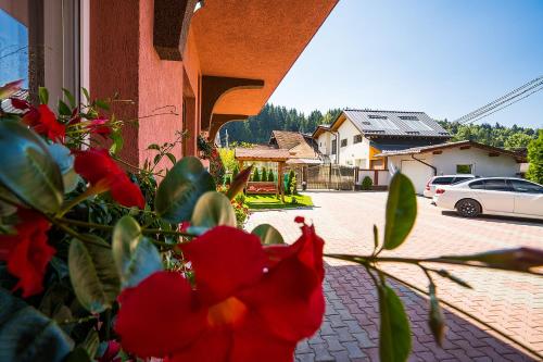 Vila Mery - main image