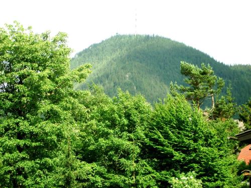 ระเบียง/ชานเรือน, Ferienhaus Anna Semmering in เซมเมอริง