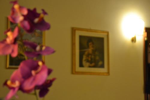 Hotel Julia Trevi - Spagna, Rome (photo 3)