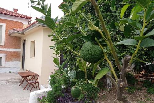 Afroditis's & Makis's apartment - Λεωνίδιο