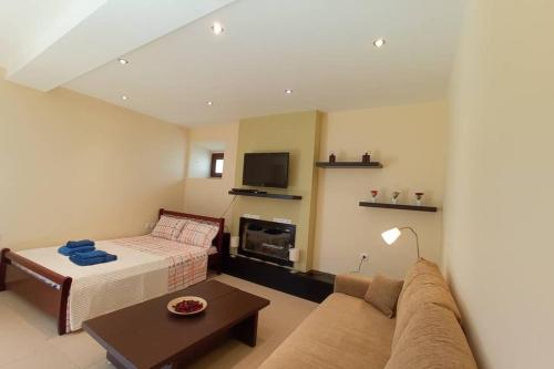 Afroditis's & Makis's apartment, Leonidion (Leonidio) (foto 2)