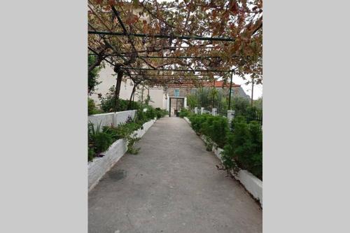 Afroditis's & Makis's apartment, Leonidion (Leonidio) (foto 6)
