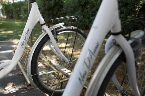 Nero D'Avorio Aparthotel & SPA - image 8