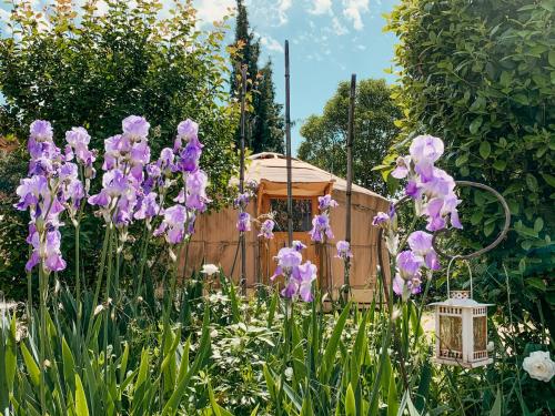 Yurt Tent (2 People)