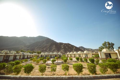 Crazy Horse Camp Nuweiba