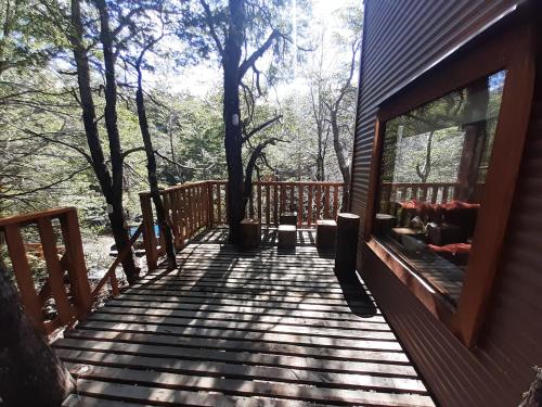 Domos Entre Bosques – Malalcahuello