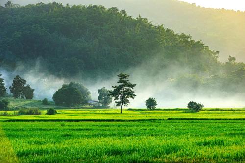 Baan Sin Suk