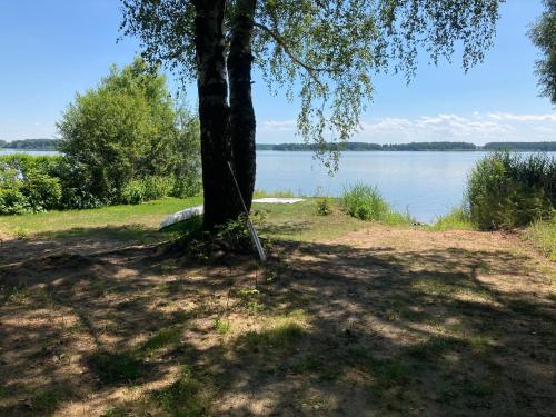 Chaty Dvořiště (Chaty Dvoriste) in Lišov